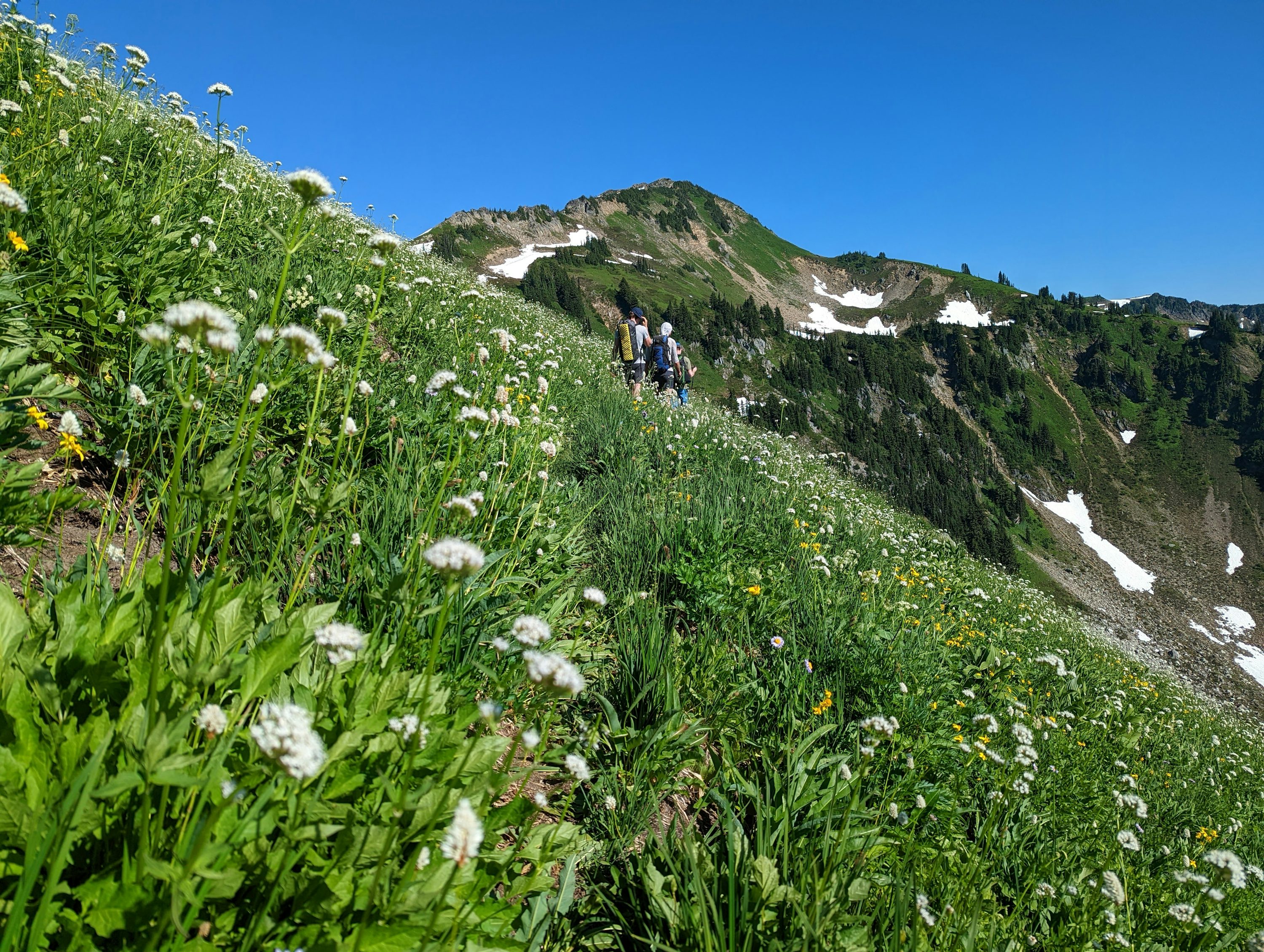 Uplandsteig Hiking Trail